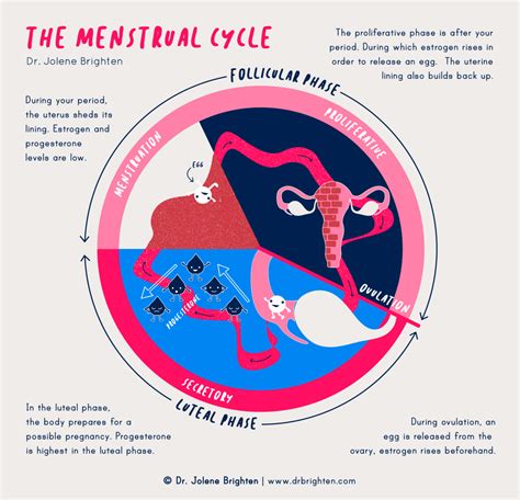 Menstrual cycle magic